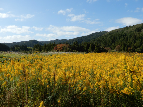DSCN0740.jpg