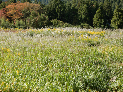 DSCN0741.jpg