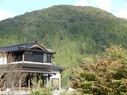 DSCN0745.jpg