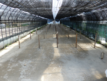 DSCN0747.jpg